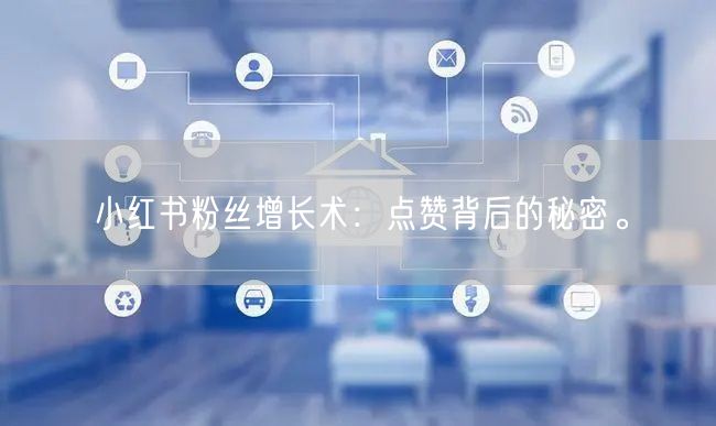 小红书粉丝增长术:点赞背后的秘密。