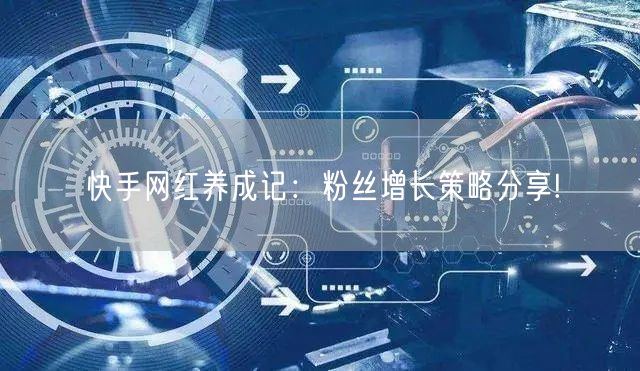 快手网红养成记:粉丝增长策略分享!