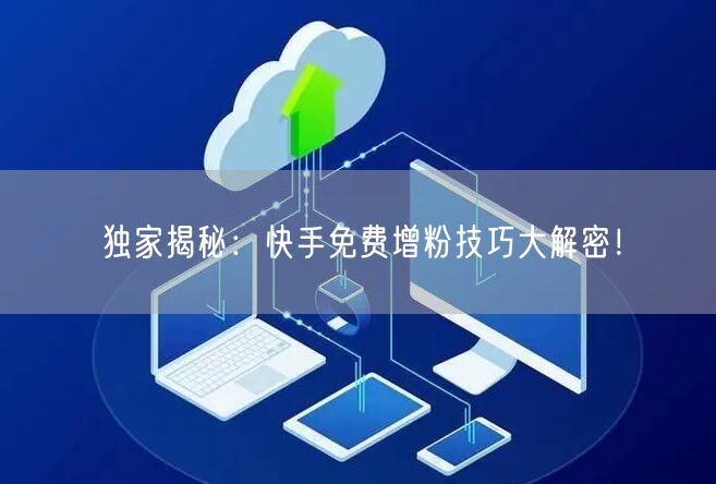 独家揭秘:快手免费增粉技巧大解密!
