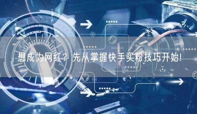 想成为网红?先从掌握快手买粉技巧开始!