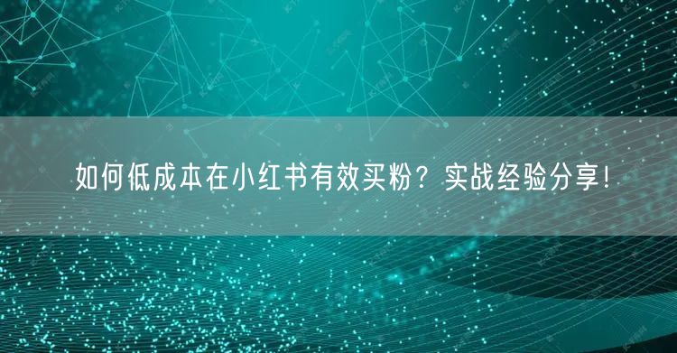 如何低成本在小红书有效买粉?实战经验分享!