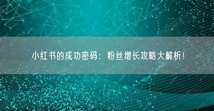 小红书的成功密码:粉丝增长攻略大解析!