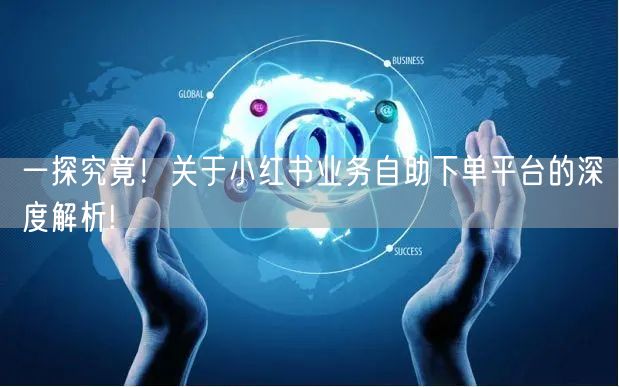 一探究竟!关于小红书业务自助下单平台的深度解析!