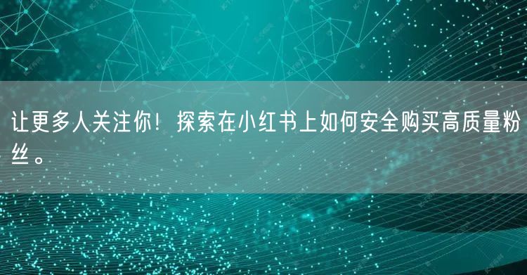 让更多人关注你!探索在小红书上如何安全购买高质量粉丝。